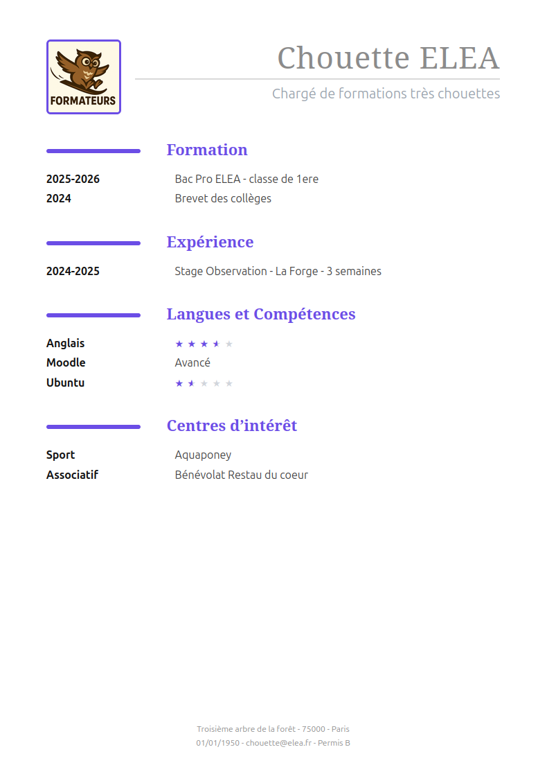 Exemple de CV